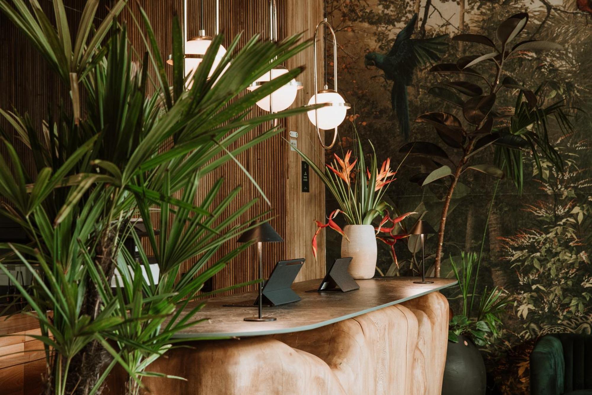 Selvario 36 Hotel Medellín Zewnętrze zdjęcie