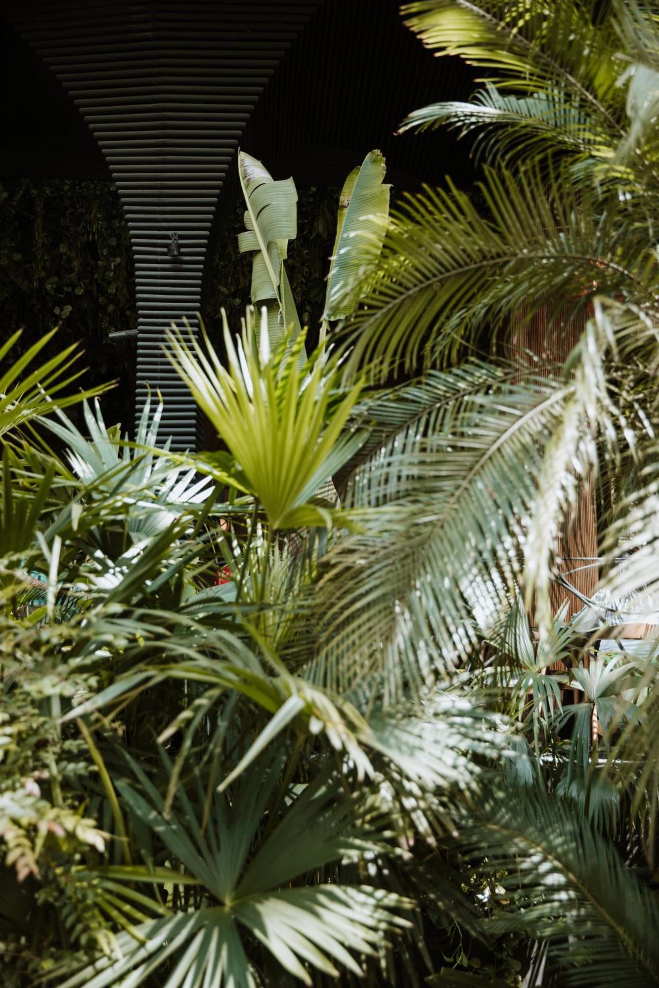 Selvario 36 Hotel Medellín Zewnętrze zdjęcie